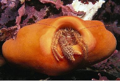 30人小团队打造的《光与影：33号远征队》将超过育碧千人打造的《刺客信条：影》