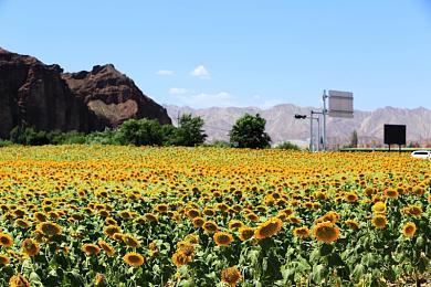 《黑神话：悟空》媒体前瞻泄露 不是类魂游戏
